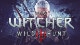 The Witcher 3 Wild Hunt trainer hack